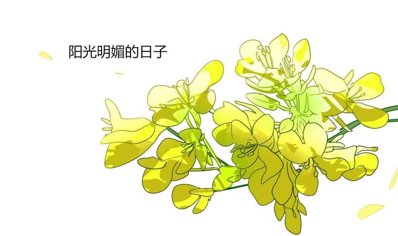 第77话 求婚4