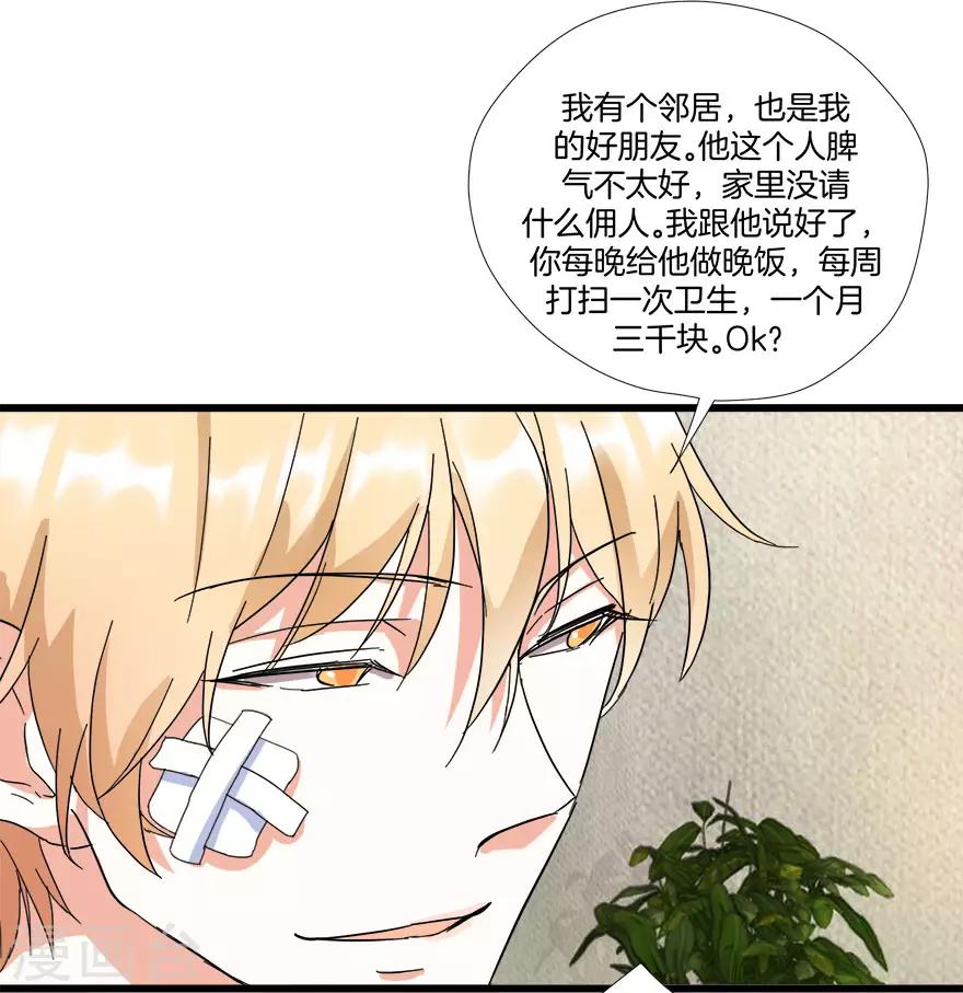 第8话 钟点工做吗？7