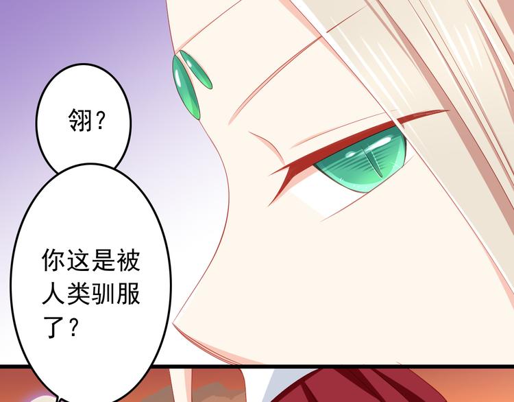 第43话 恶魔猎人对上魔王原配56