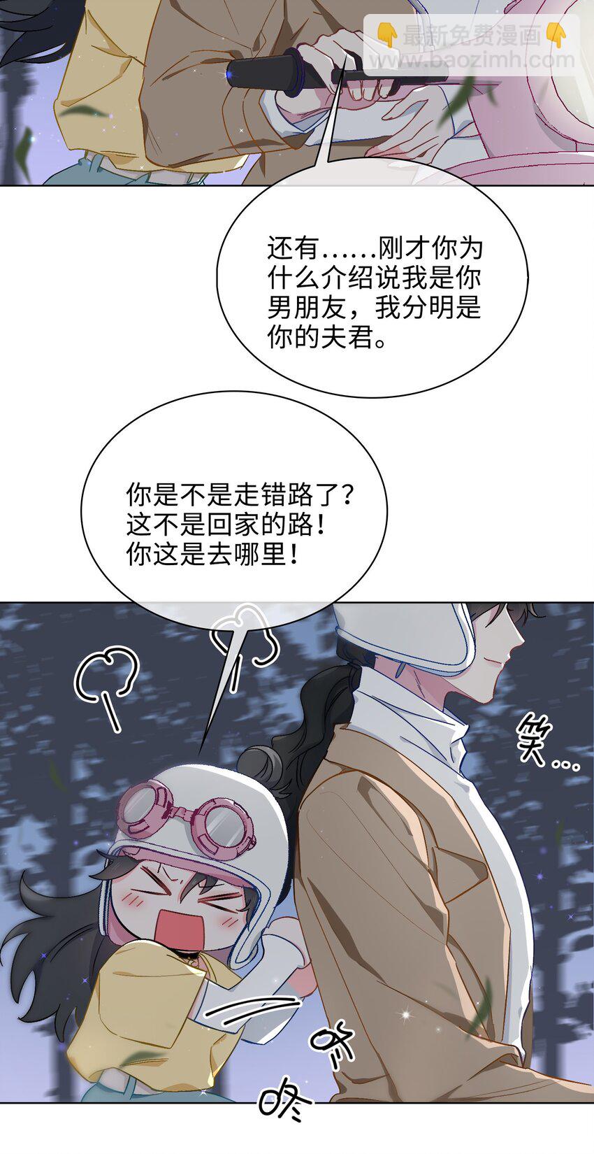 41 叶子的秘密11