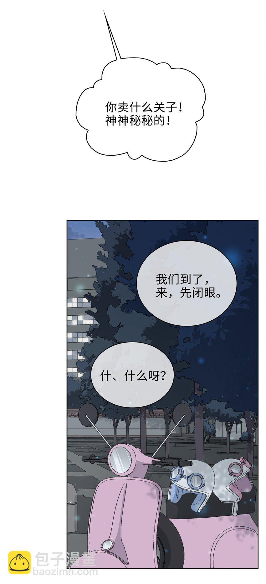 41 叶子的秘密12