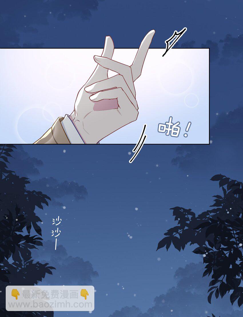 41 叶子的秘密16