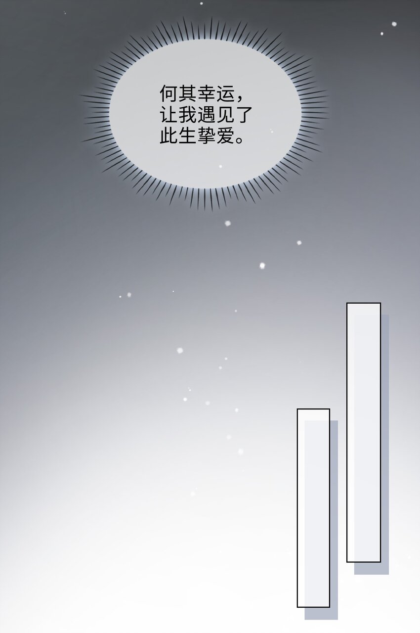41 叶子的秘密20