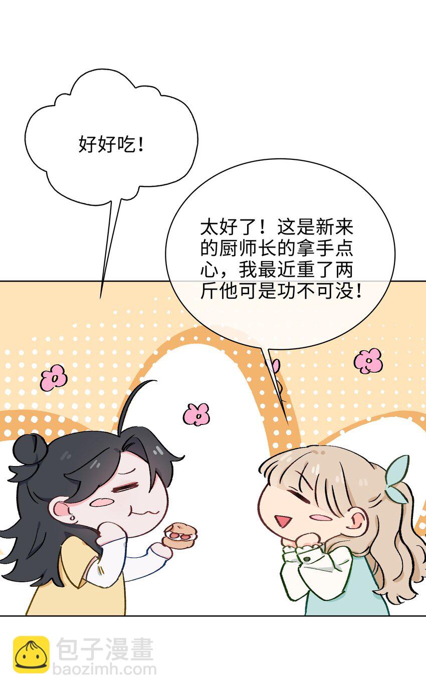 41 叶子的秘密24
