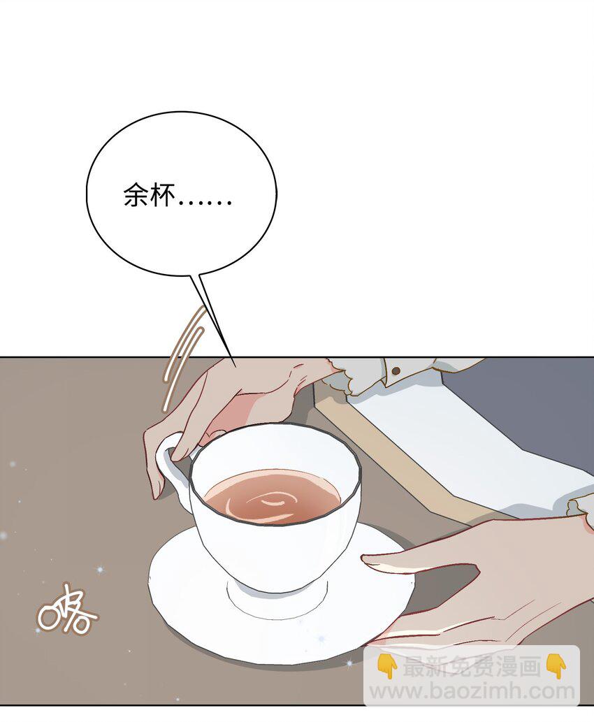 41 叶子的秘密26