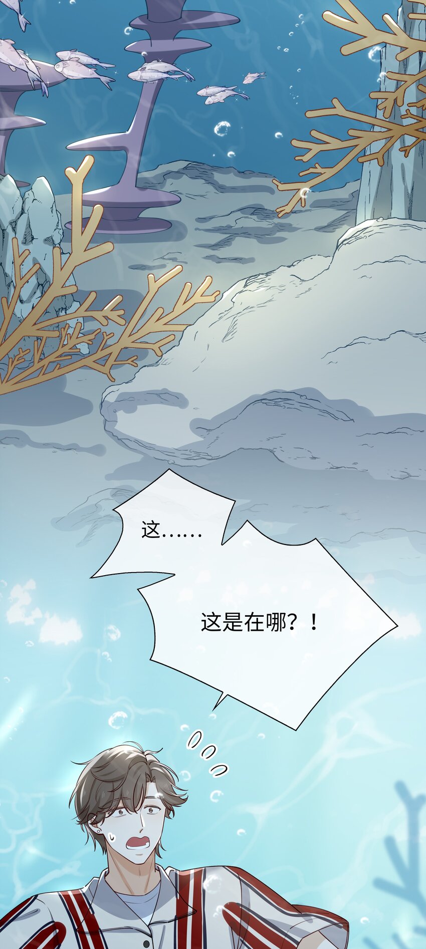 68 以真乱假3