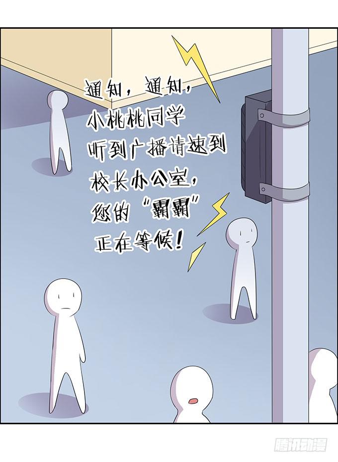 寻找小桃桃之旅19