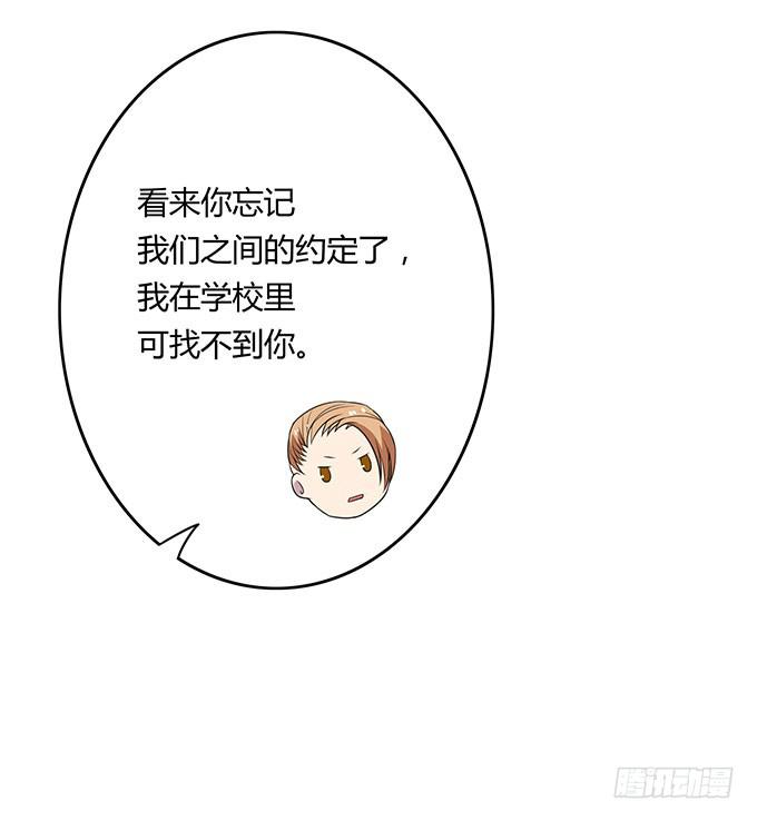 寻找小桃桃之旅27