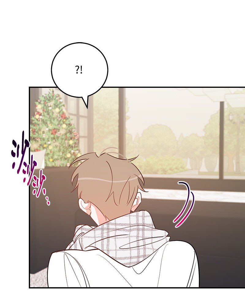 81 圣诞节34