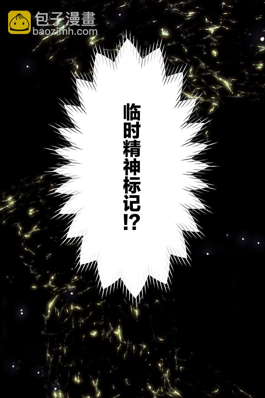 5 精神标记30