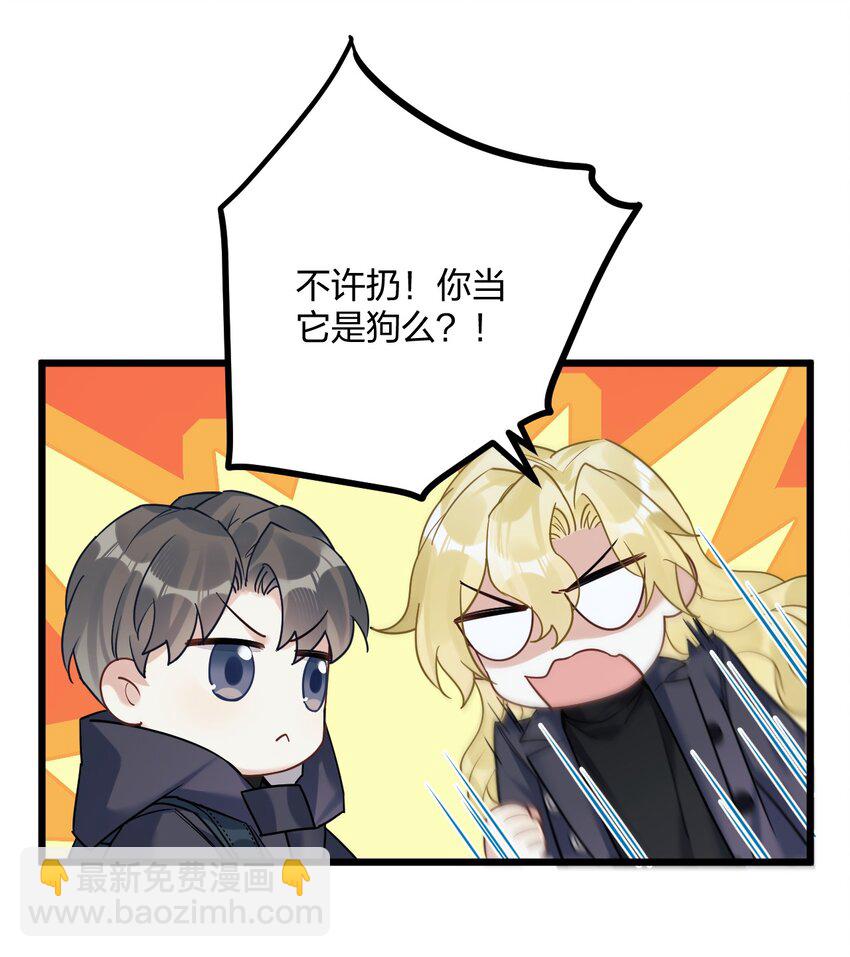 25 是龙是狗？20