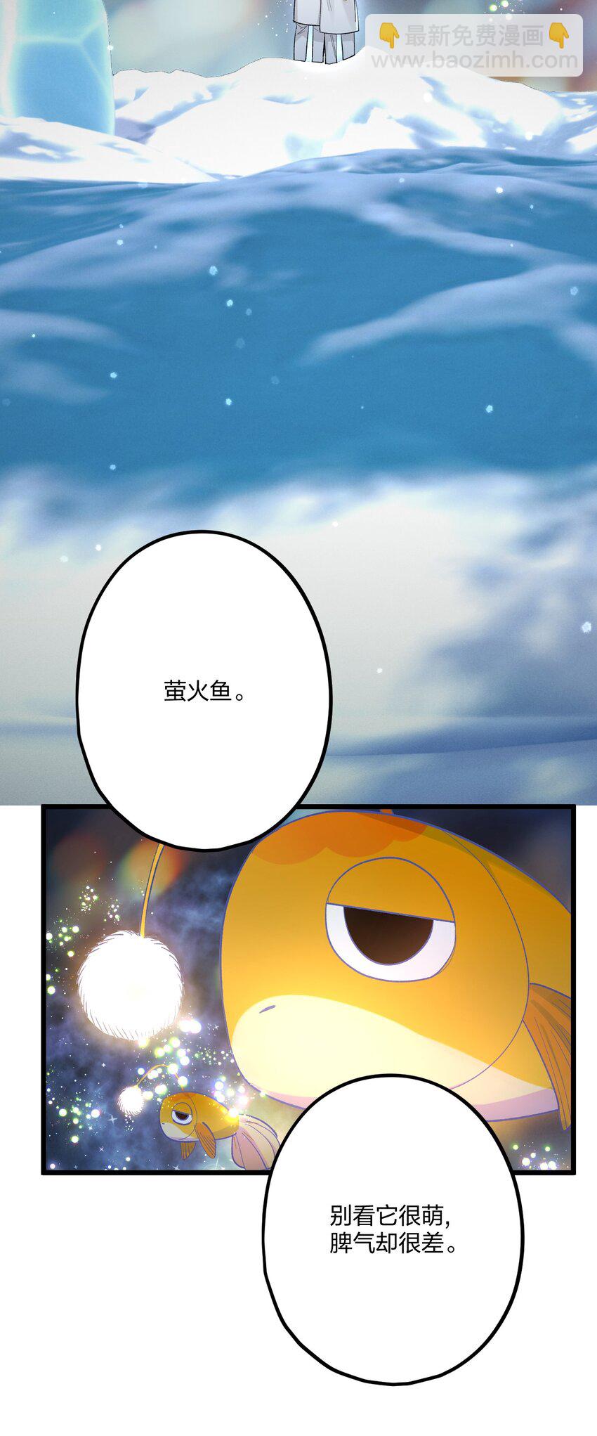 63 桔梗2