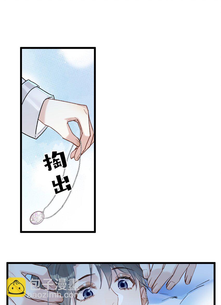 63 桔梗37