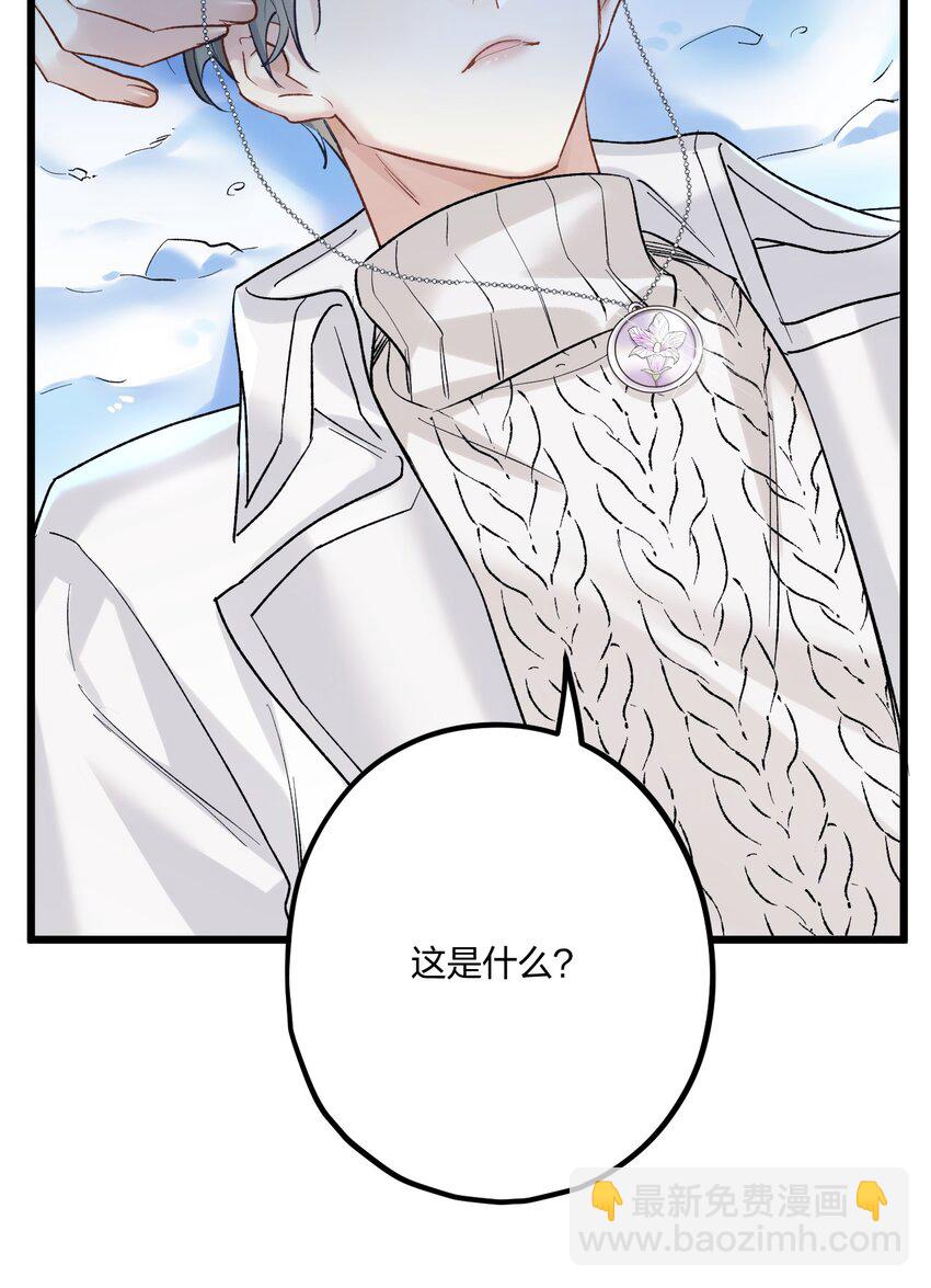 63 桔梗38