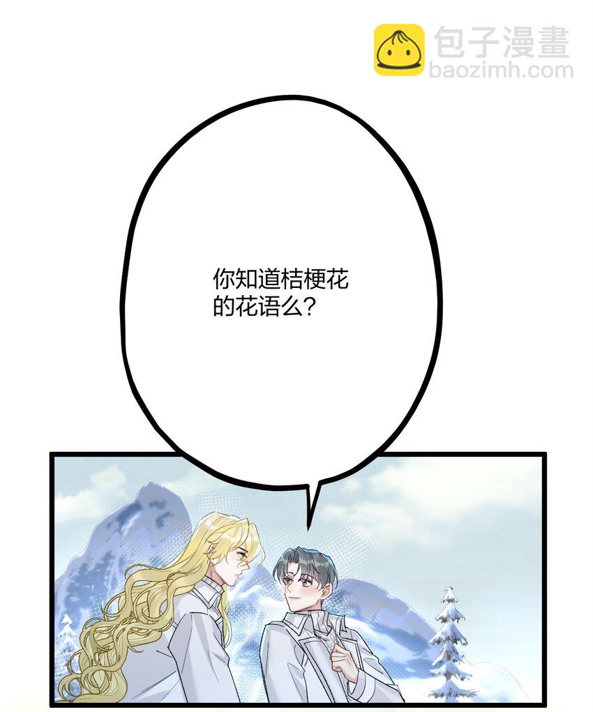 63 桔梗41