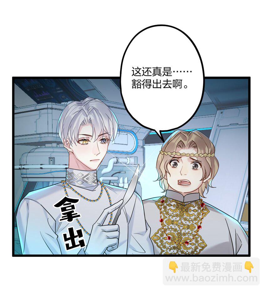 67 心脏26