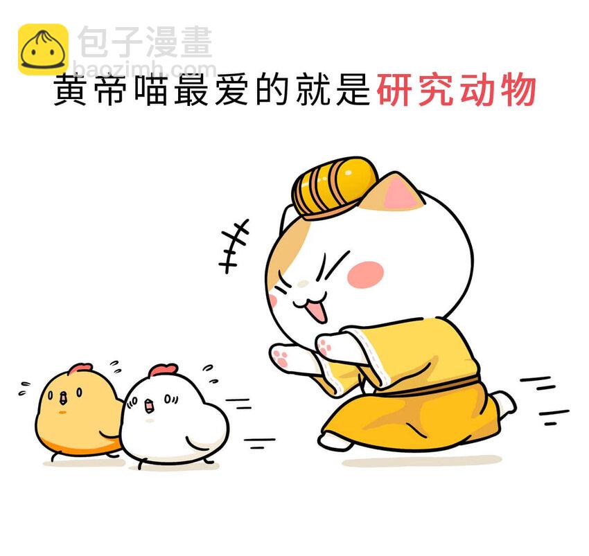 1 【华夏诞生】洪荒时代，混沌初开！23