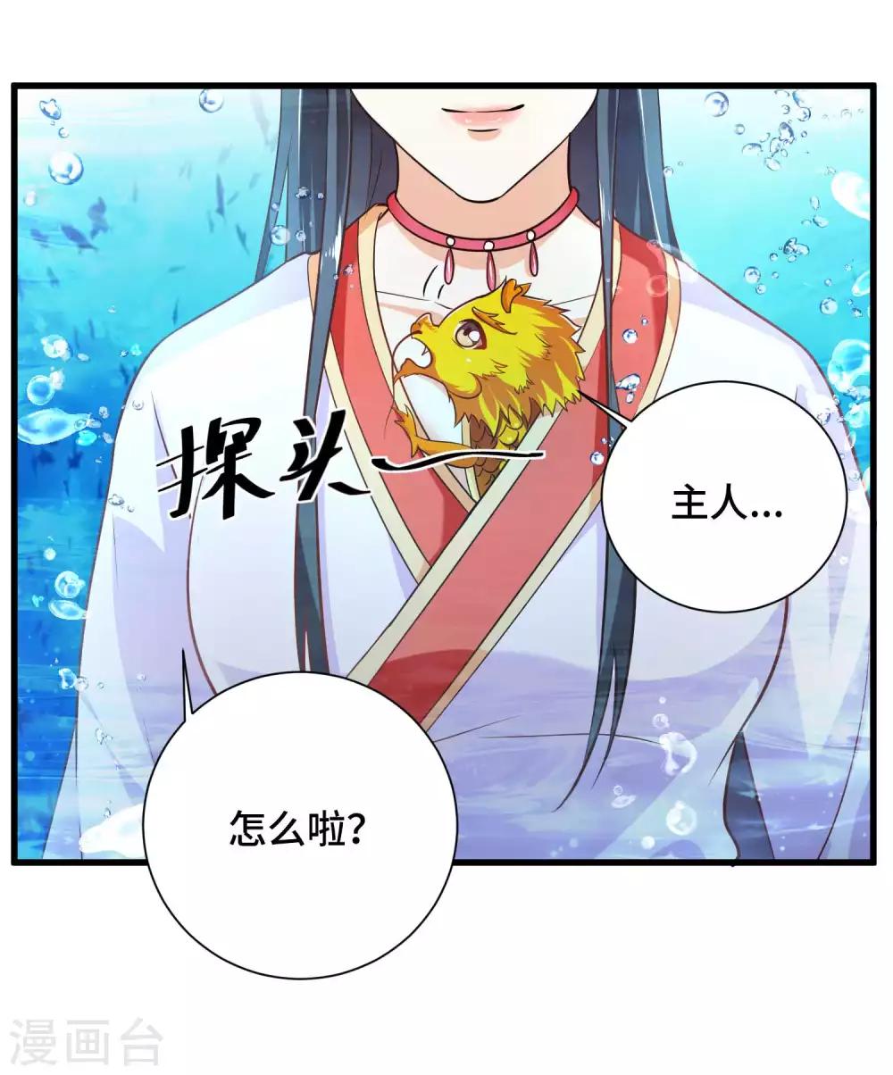 第31话 我们重新认识一下5