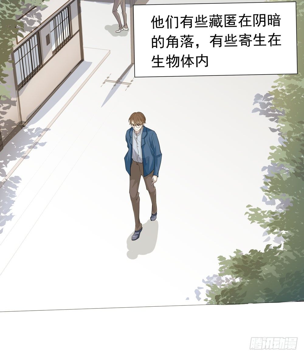 诡异的车祸5