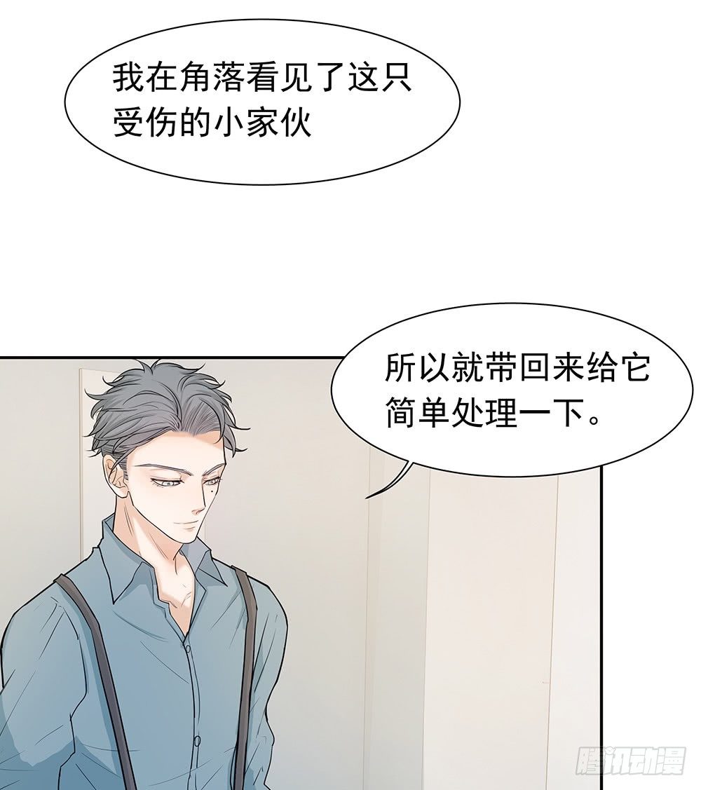 特别的日子36