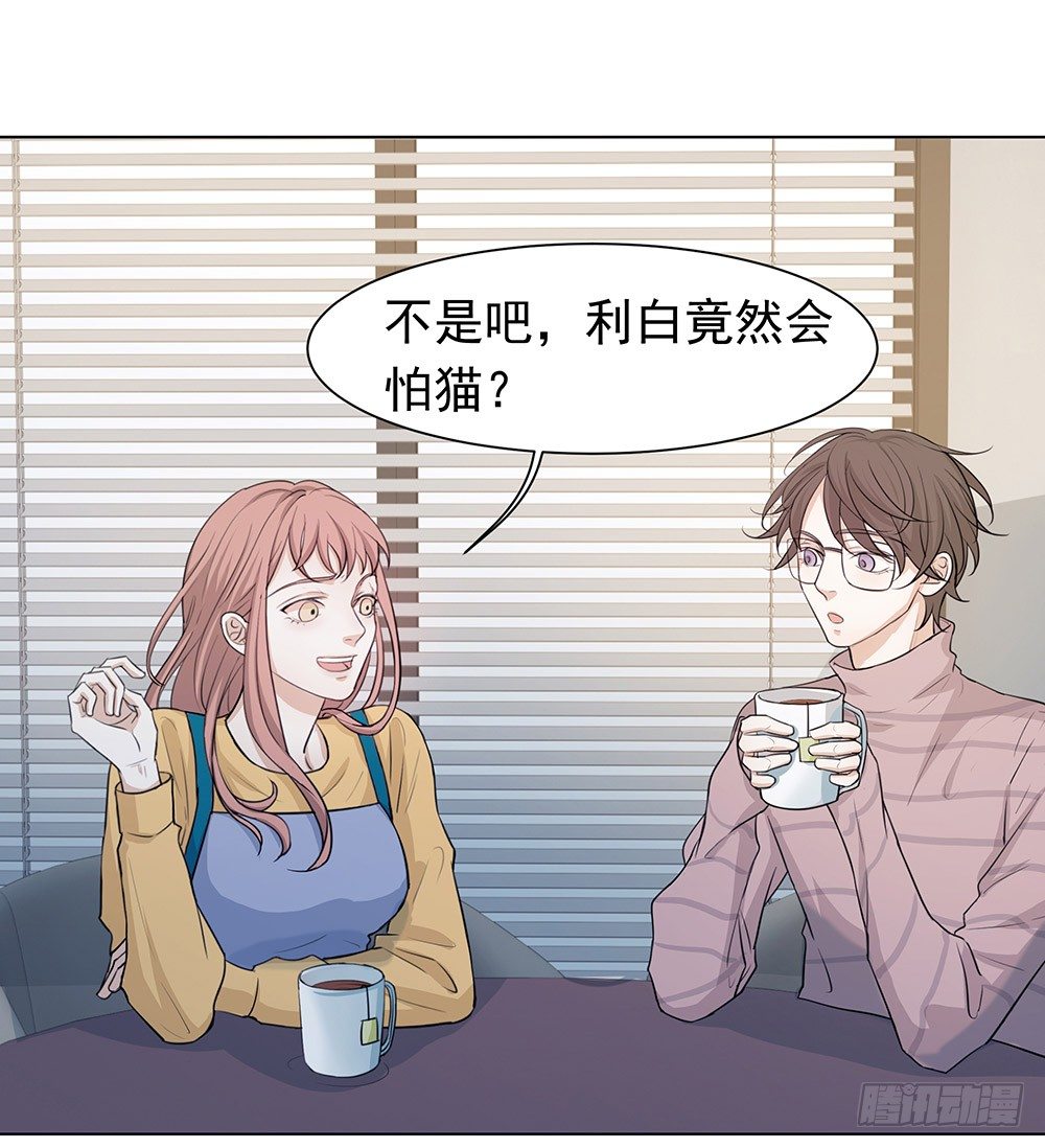 特别的日子41