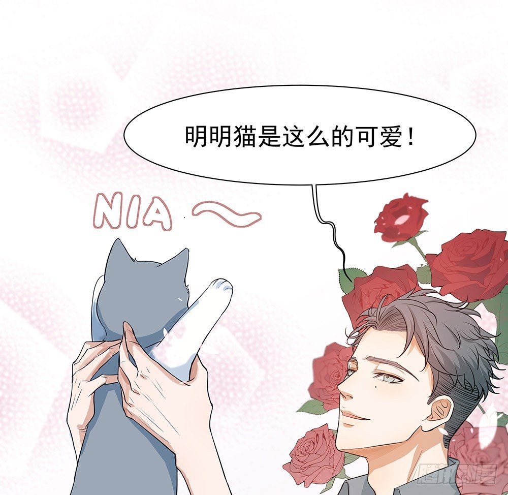 特别的日子44