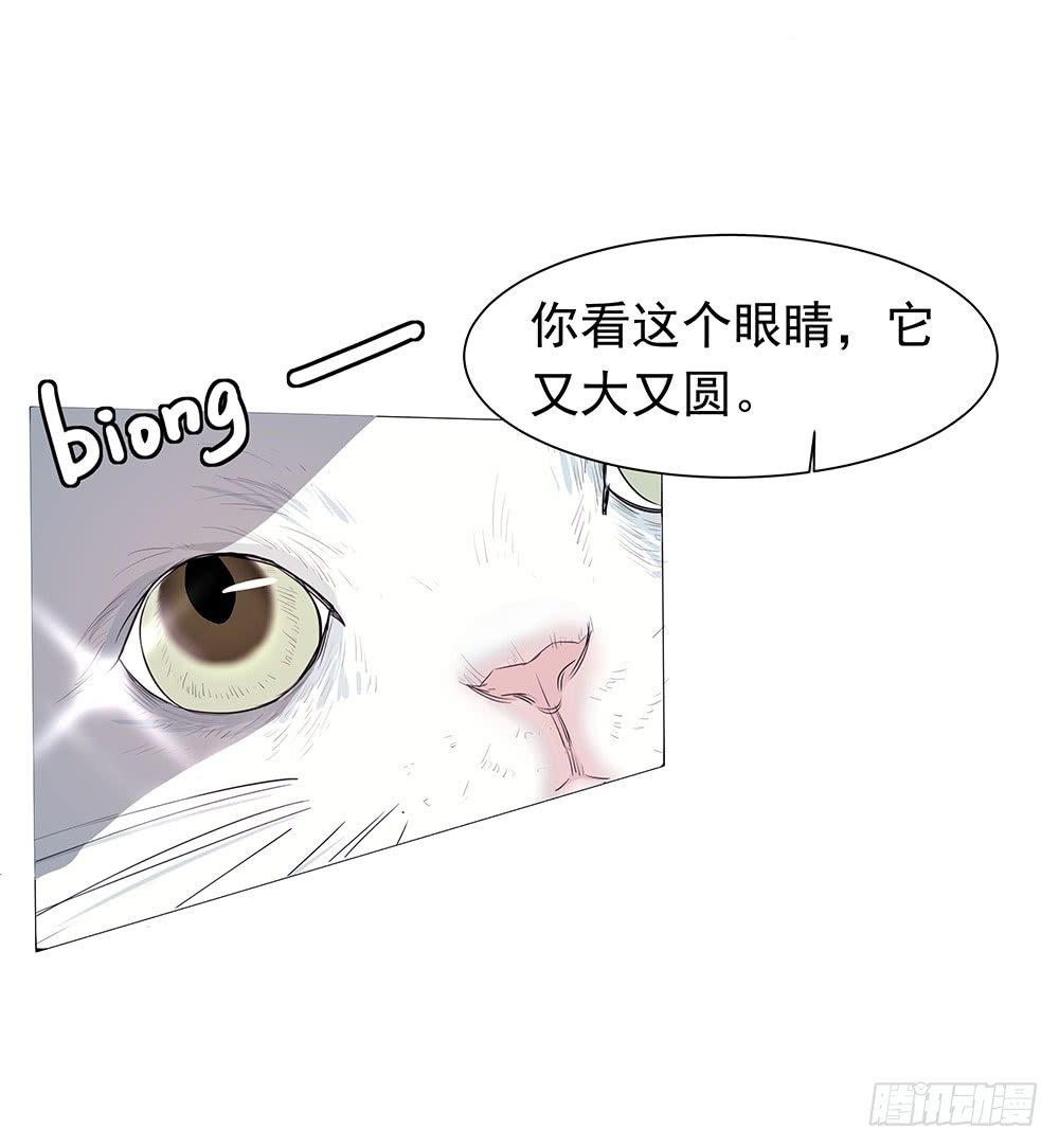特别的日子46