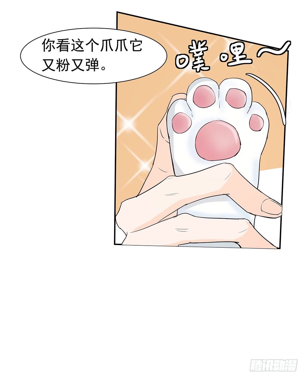 特别的日子47