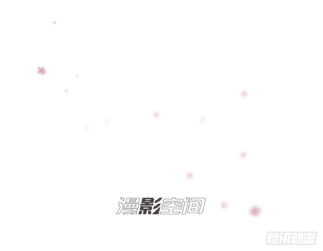 猫的新家1