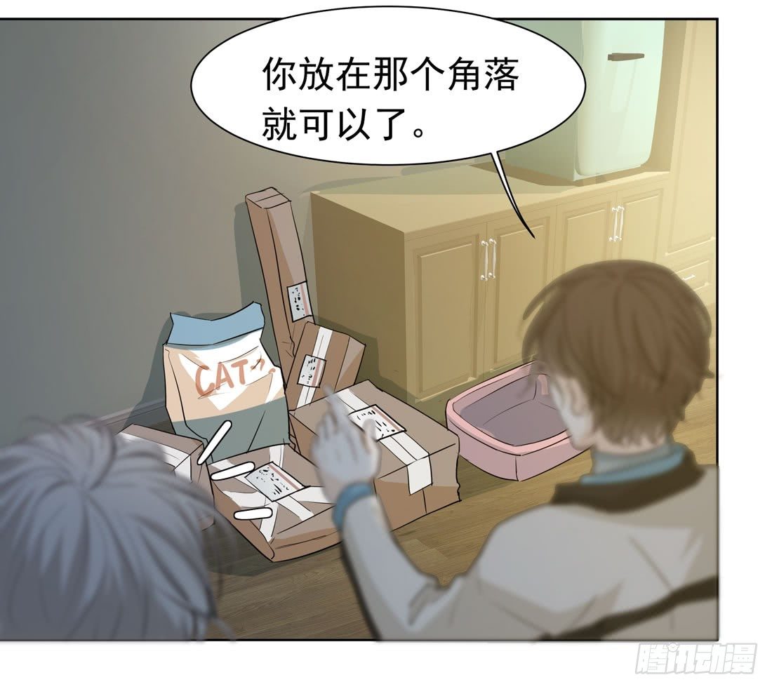 猫的新家16