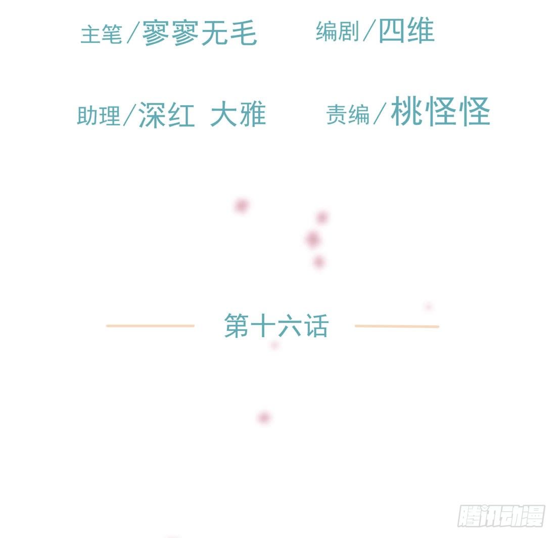 猫的新家2