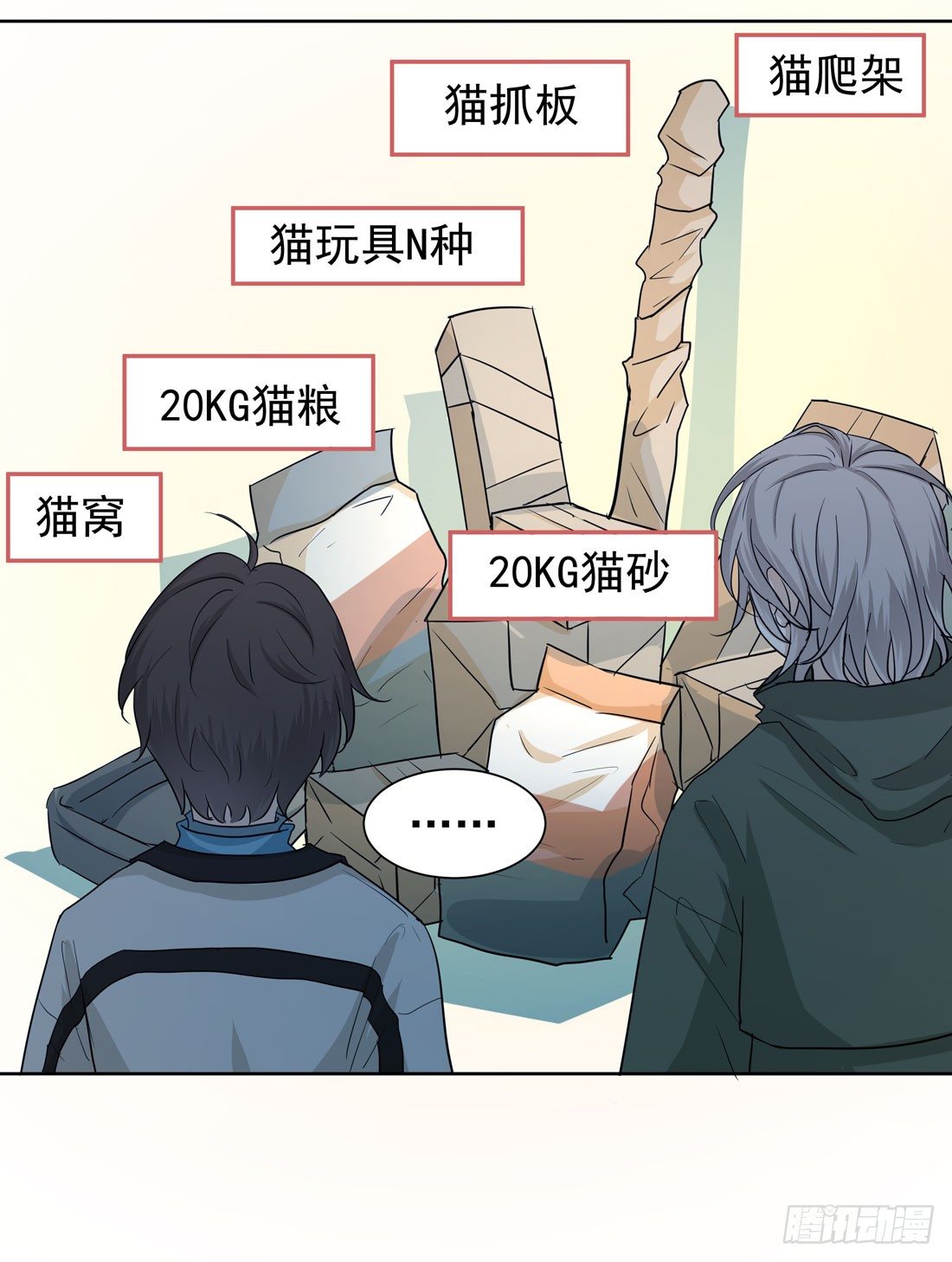 猫的新家23