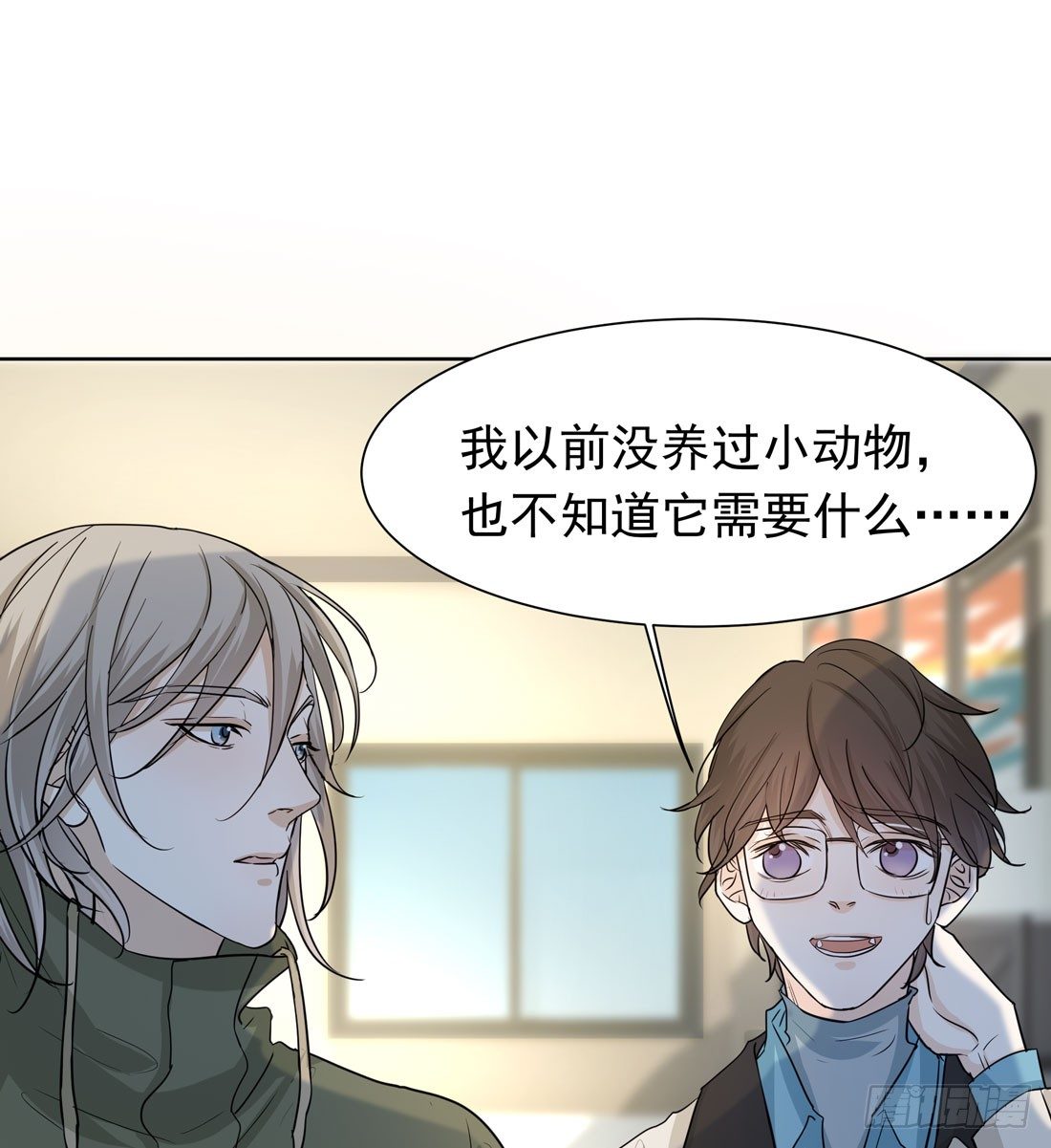 猫的新家24