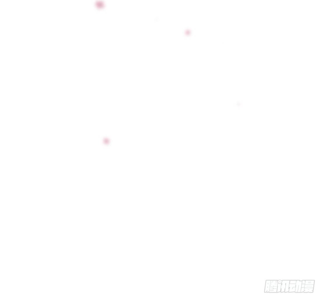 猫的新家3
