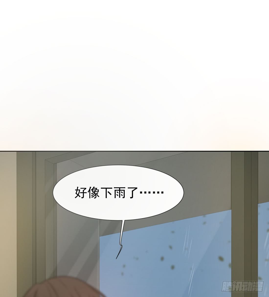 猫的新家37