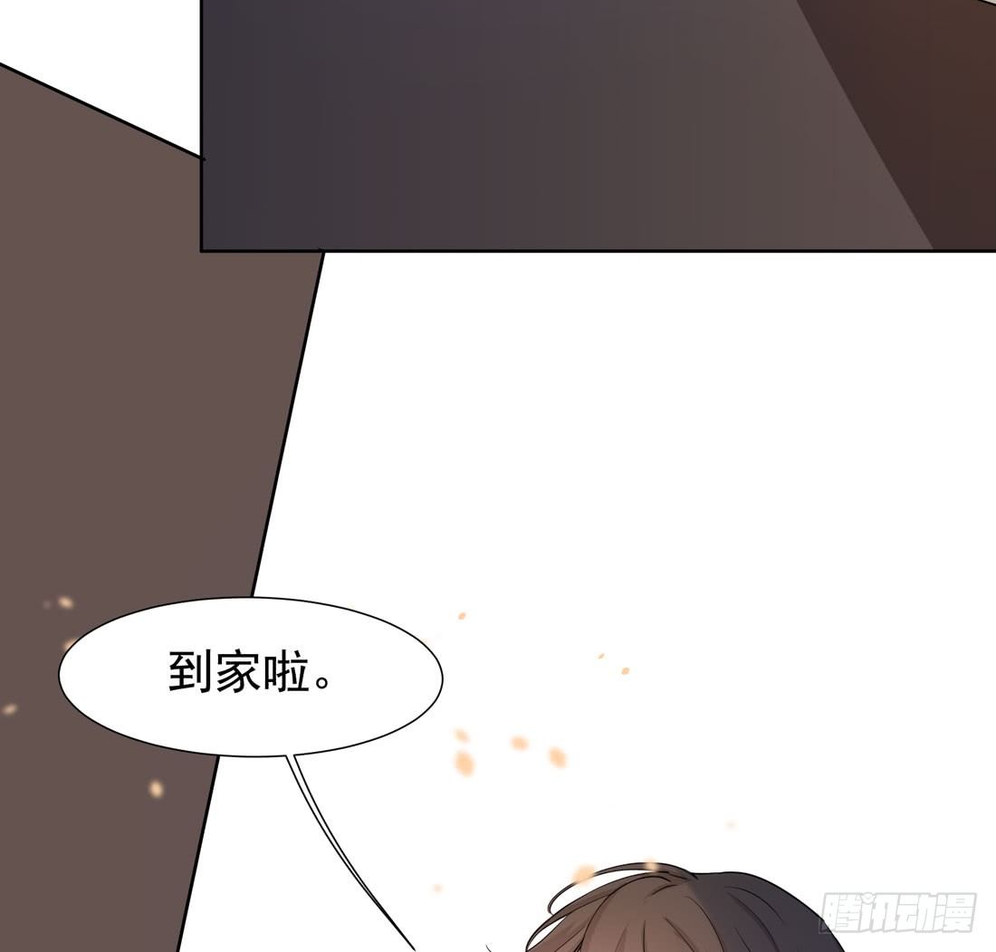猫的新家5