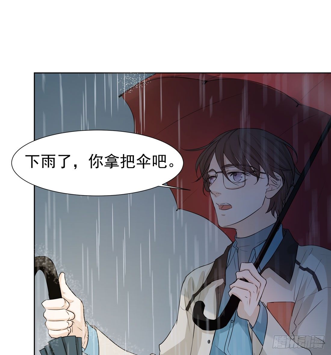 猫的新家53