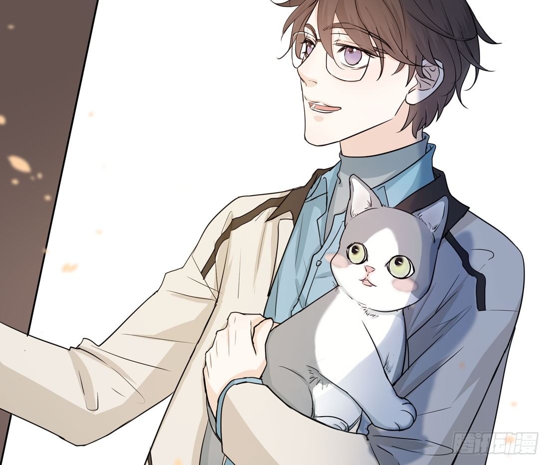 猫的新家6
