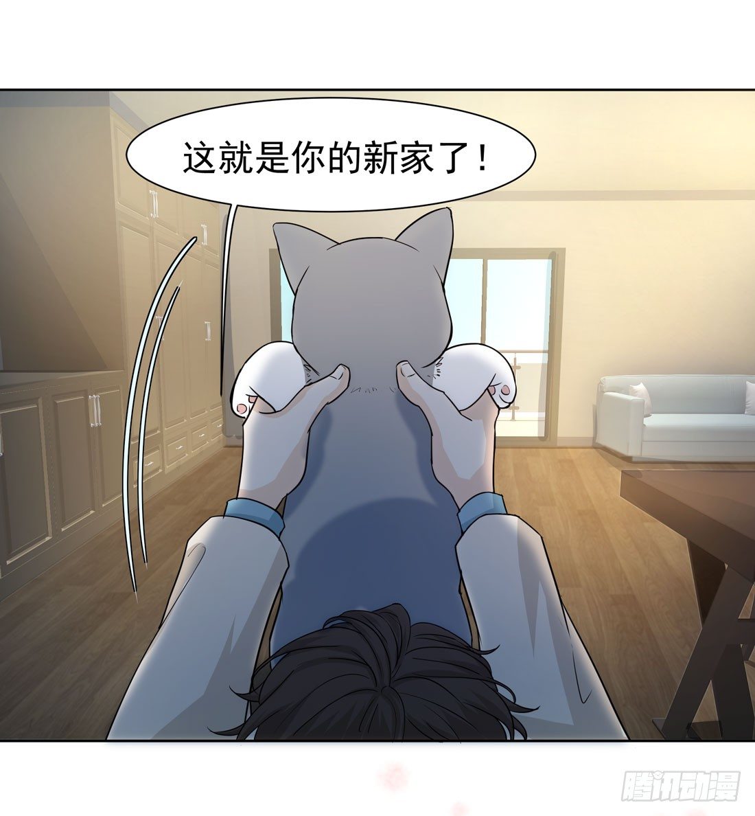 猫的新家8
