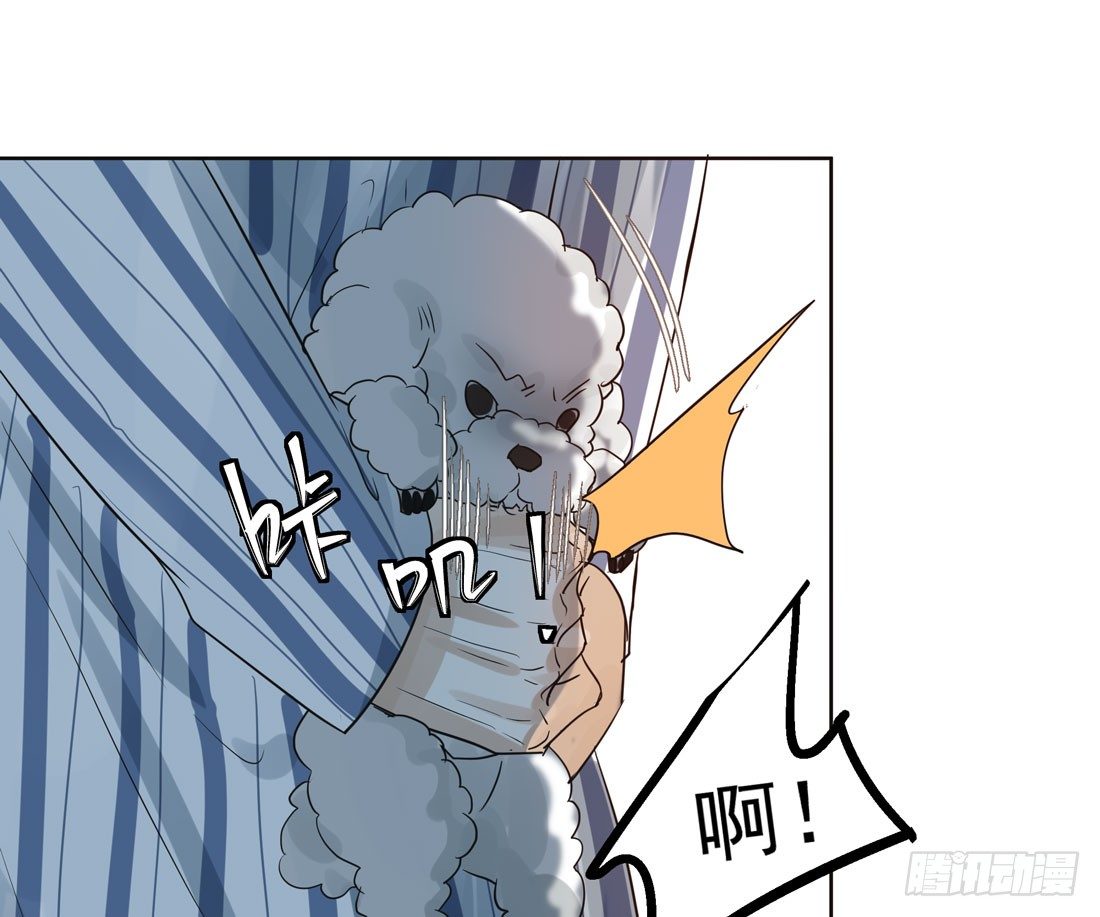 怀疑33