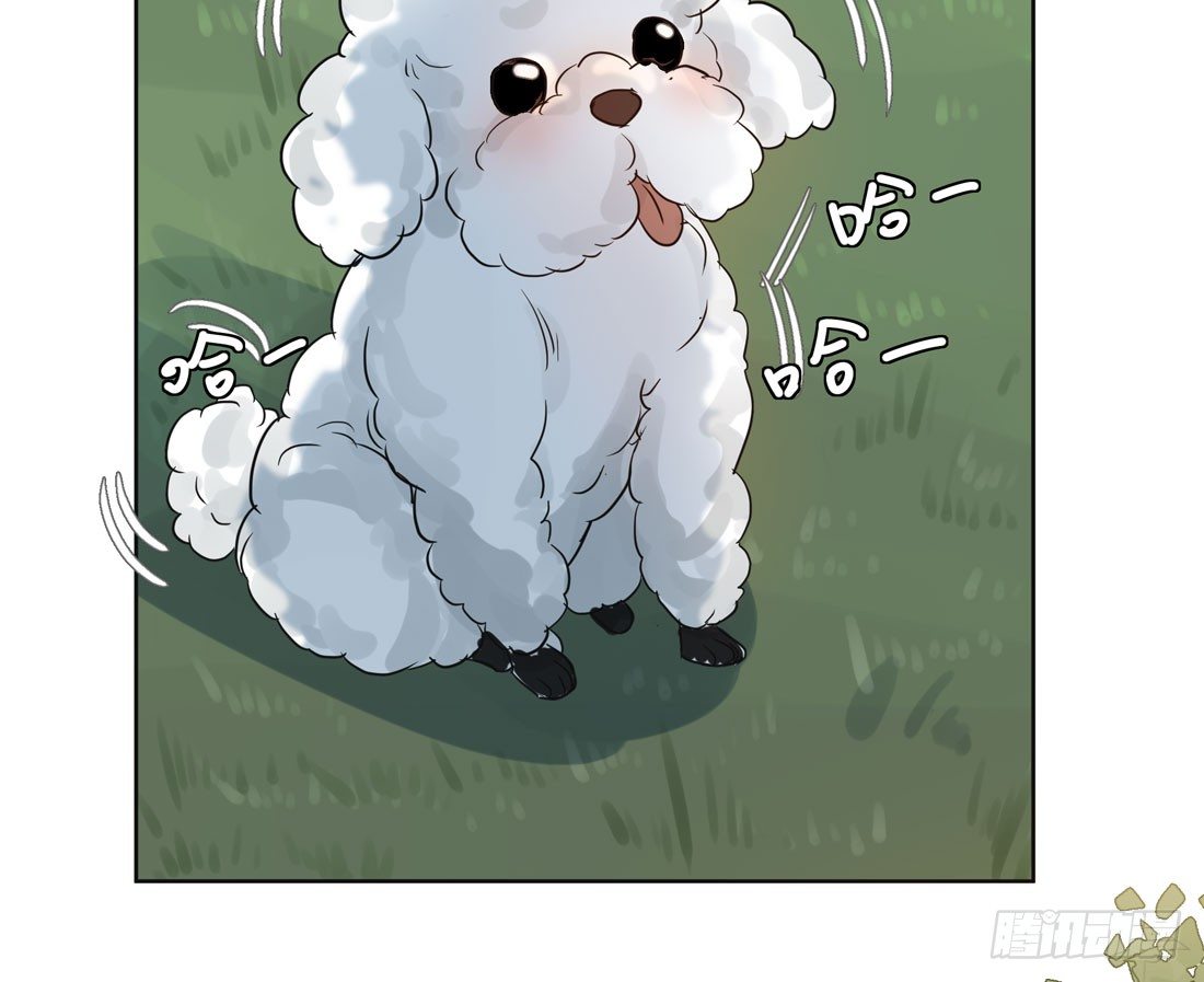 怀疑36