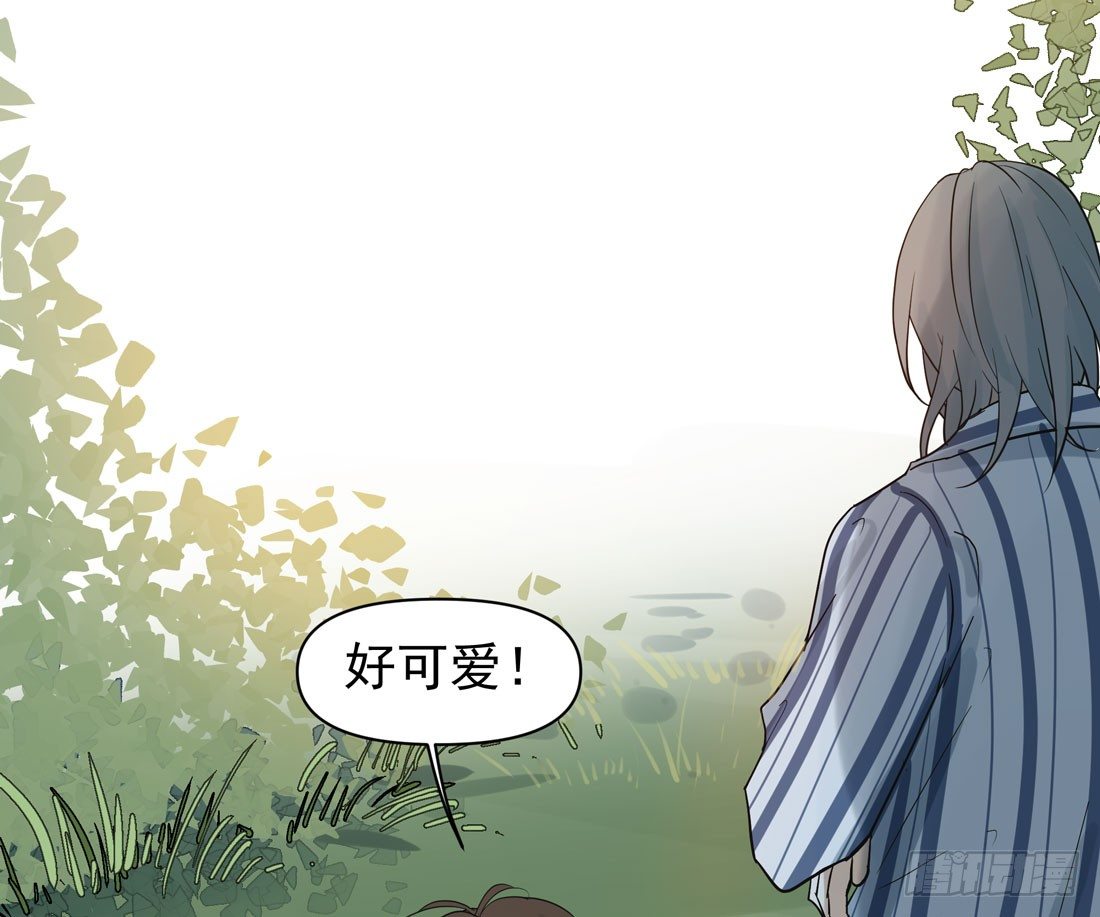 怀疑37