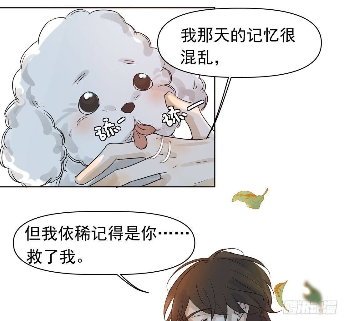 怀疑41