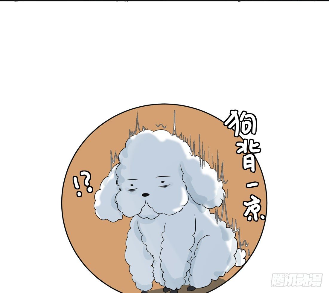 出院66