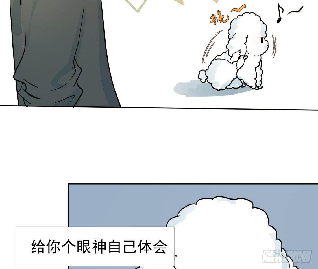 慰藉35