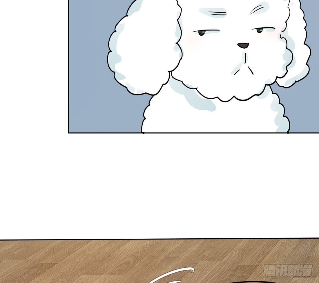 慰藉36