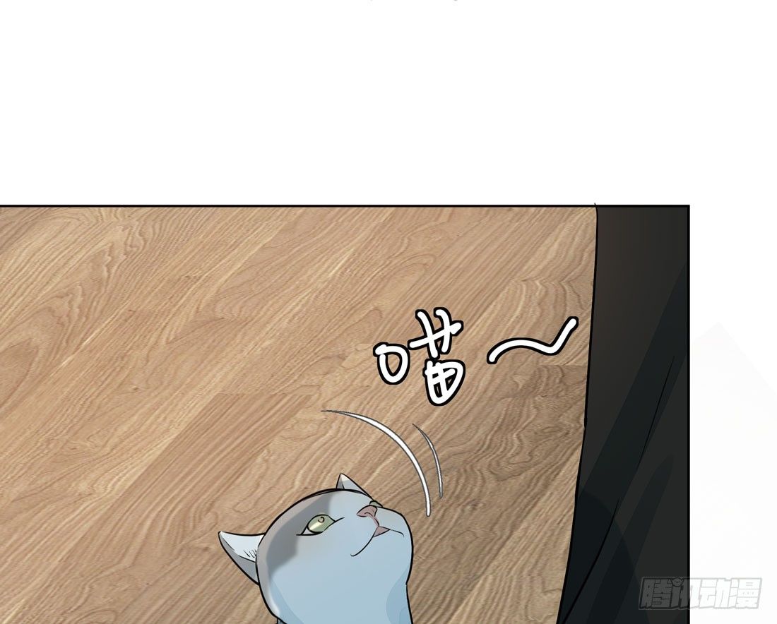 慰藉41