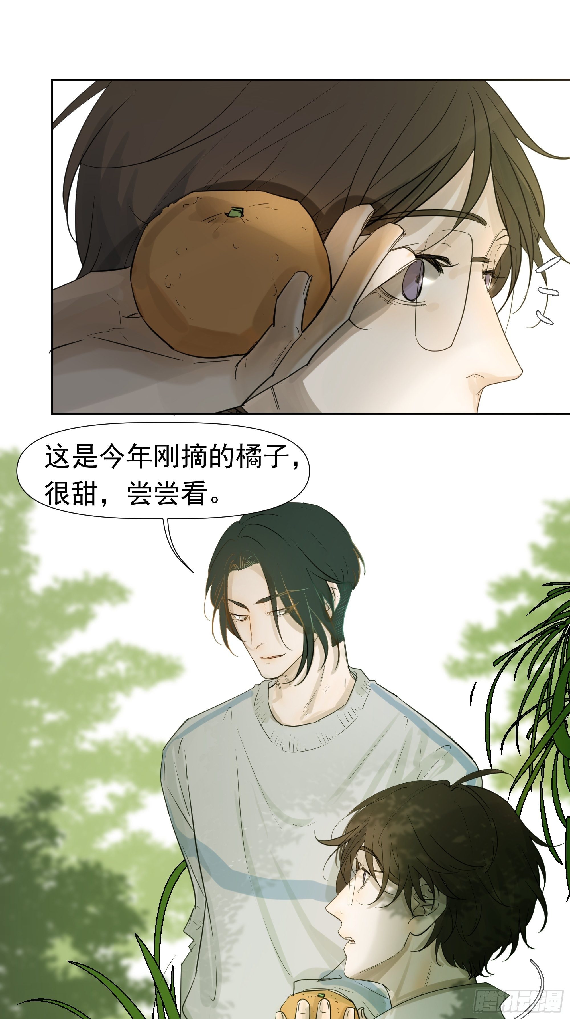夜鸦的身份22