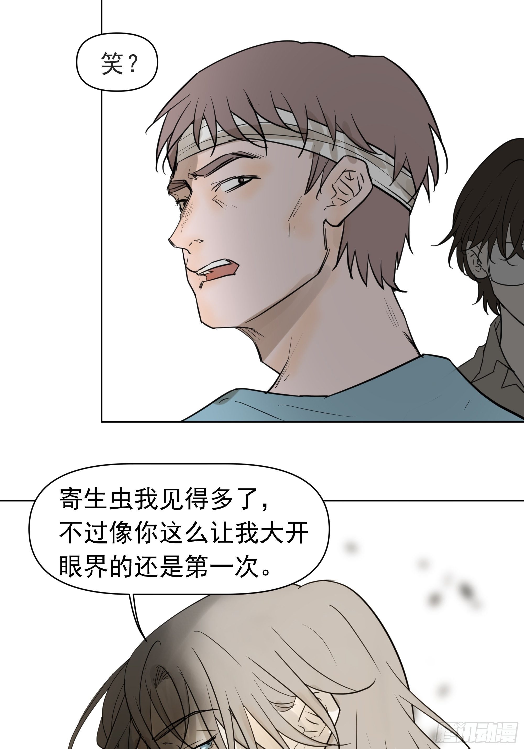 新成员36
