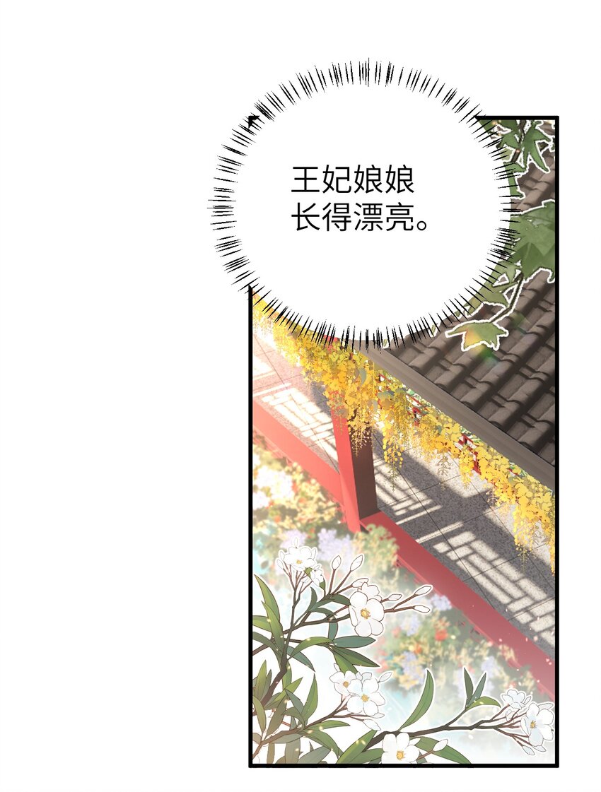 016 小仓鼠驯养计划36